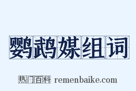 鹦鹉媒组词是什么意思的图片